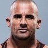 Dominic Purcell Links